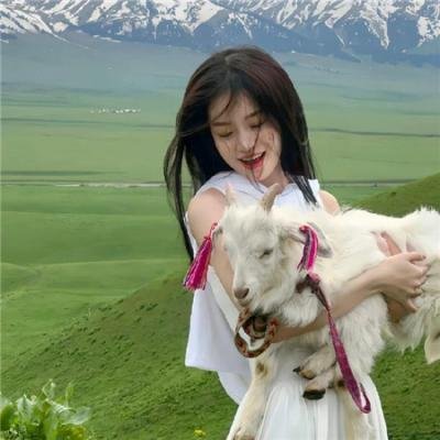四个大姐一个婚礼