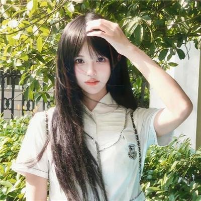 史酷比狗