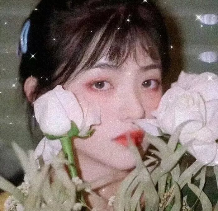 鉴你所见:花露森林